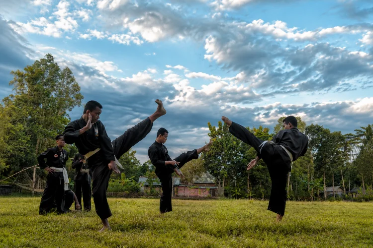 Peran Generasi Muda dalam Menjaga Pencak Silat Cisande